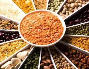 Pulses From Organic Farm